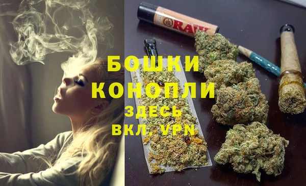 ешки Вяземский