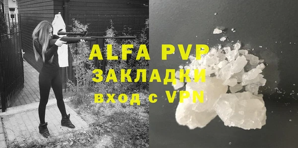 ешки Вяземский