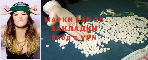 ГАЛЛЮЦИНОГЕННЫЕ ГРИБЫ Вязники