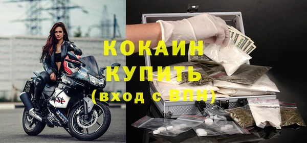 ГАЛЛЮЦИНОГЕННЫЕ ГРИБЫ Вязники