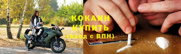 ГАЛЛЮЦИНОГЕННЫЕ ГРИБЫ Вязники