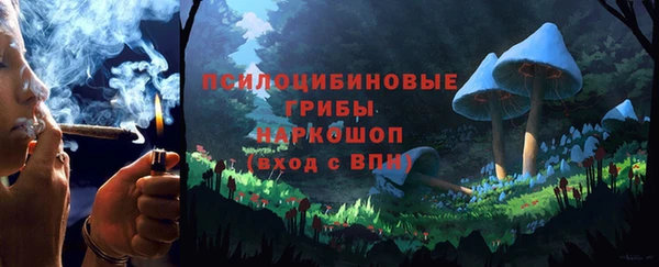 ешки Вяземский